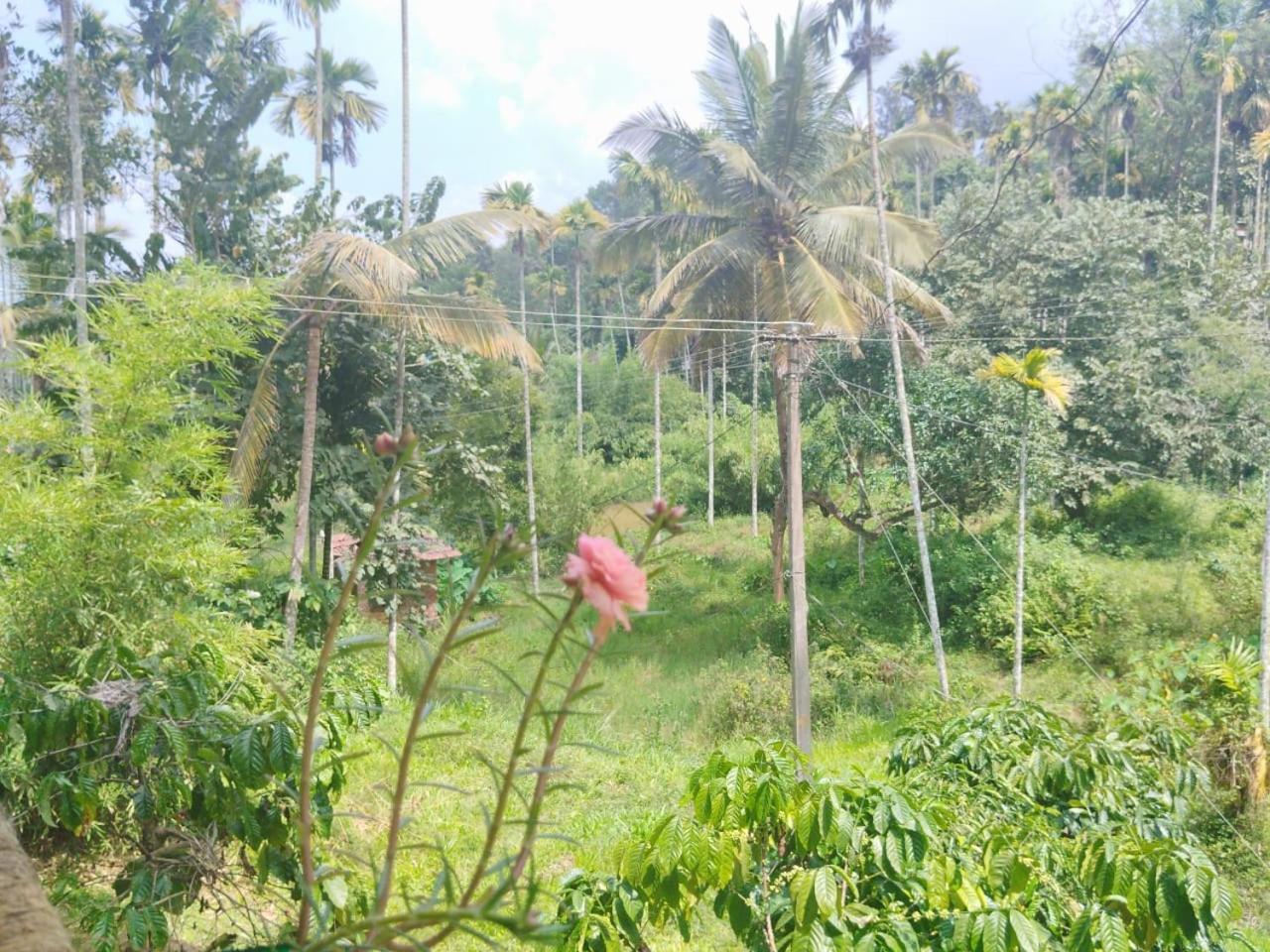 Kalidasa Tree House And Villa, Wayanad Chegat Exterior photo